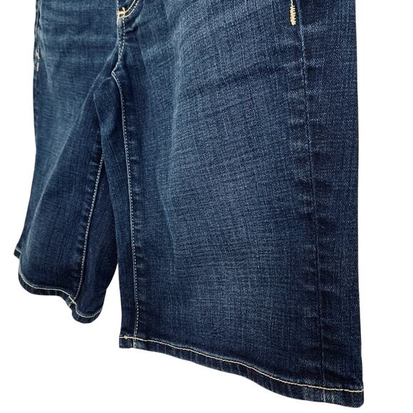 Holding Horses Anthropologie Jean Womens Boy Shorts 11" Inseam Denim sz 27 - Picture 11 of 12